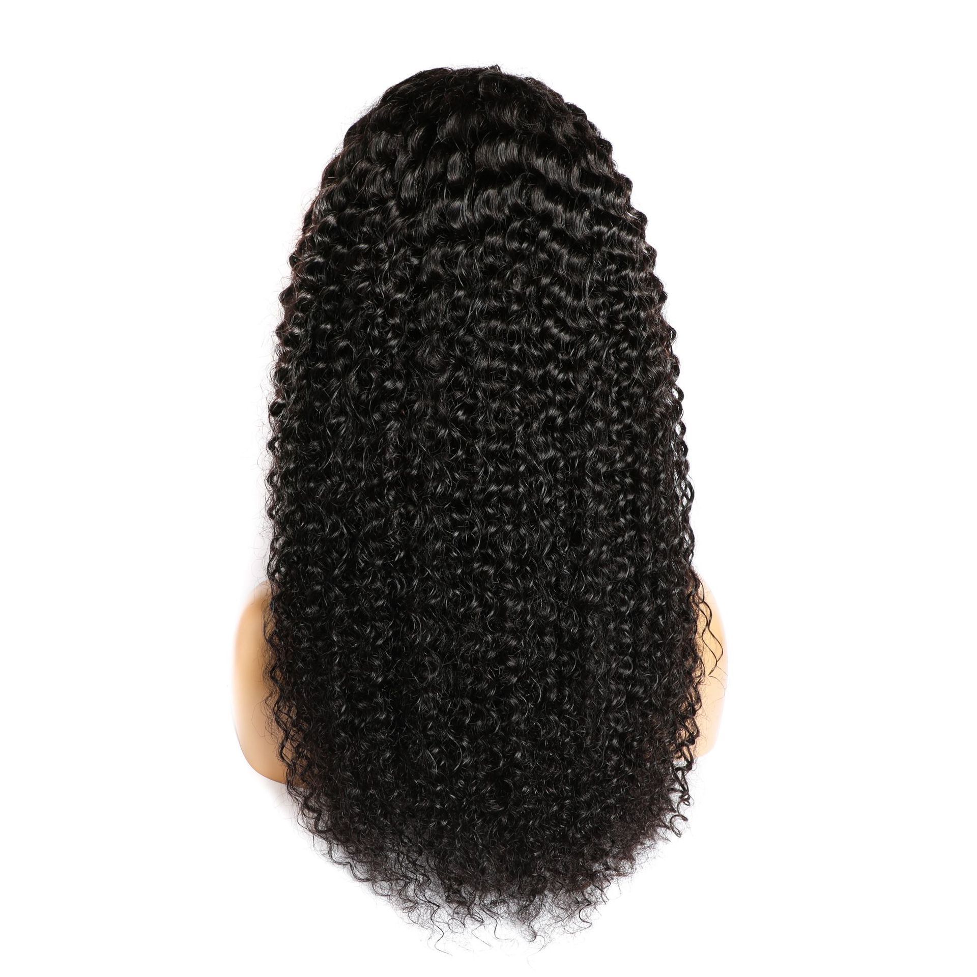 Curly Human Hair Wig Lace Hair Products by The Diamond Empire LLC