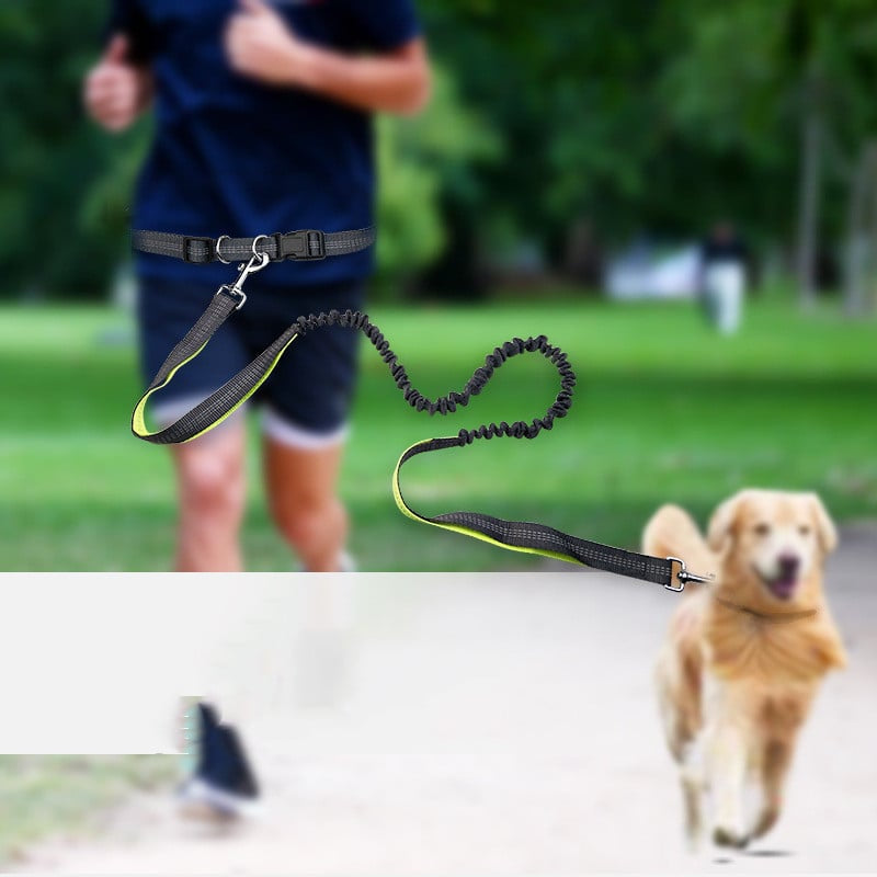 Dog Walking Belt with Detachable Shockproof Leash by Ovriluxe Enterprises llc