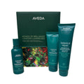AVEDA Limited-Edition Bonds of Brilliance Botanical Repair Strengthening Essentials Gift Set by Nava Beauty
