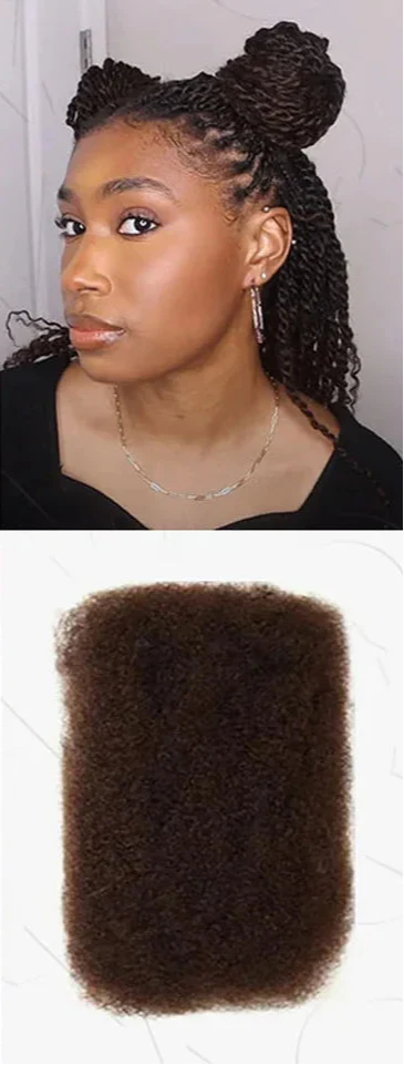 Rebecca Afro Kinky Bulk Human Hair for Braiding | Remy Virgin Brazilian Extensions (Multi-Color) by Luxegan