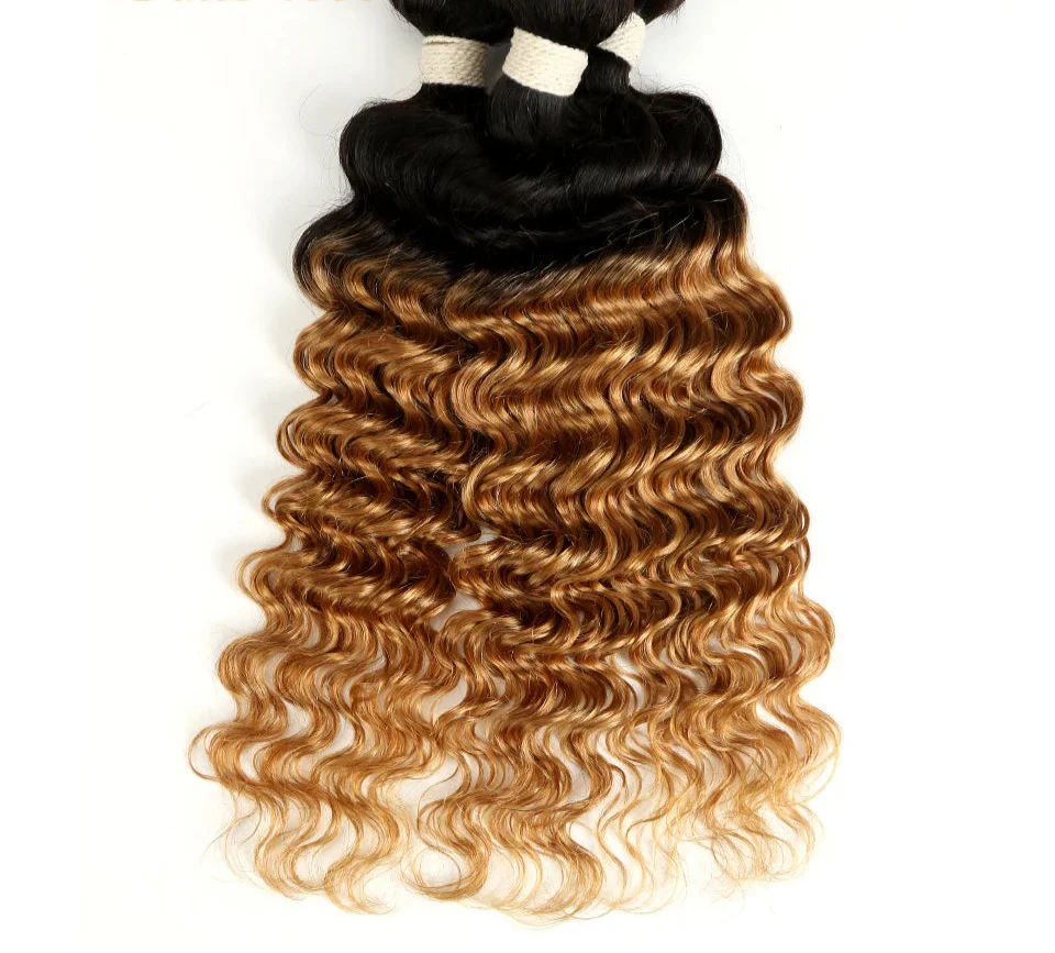 Ombre Brazilian Deep Wave Human Hair Bundles | Remy 2 Tone Color T1B/27#, T1B/30#, T1B/99J# (1, 3, or 4 Pcs) by Luxegan
