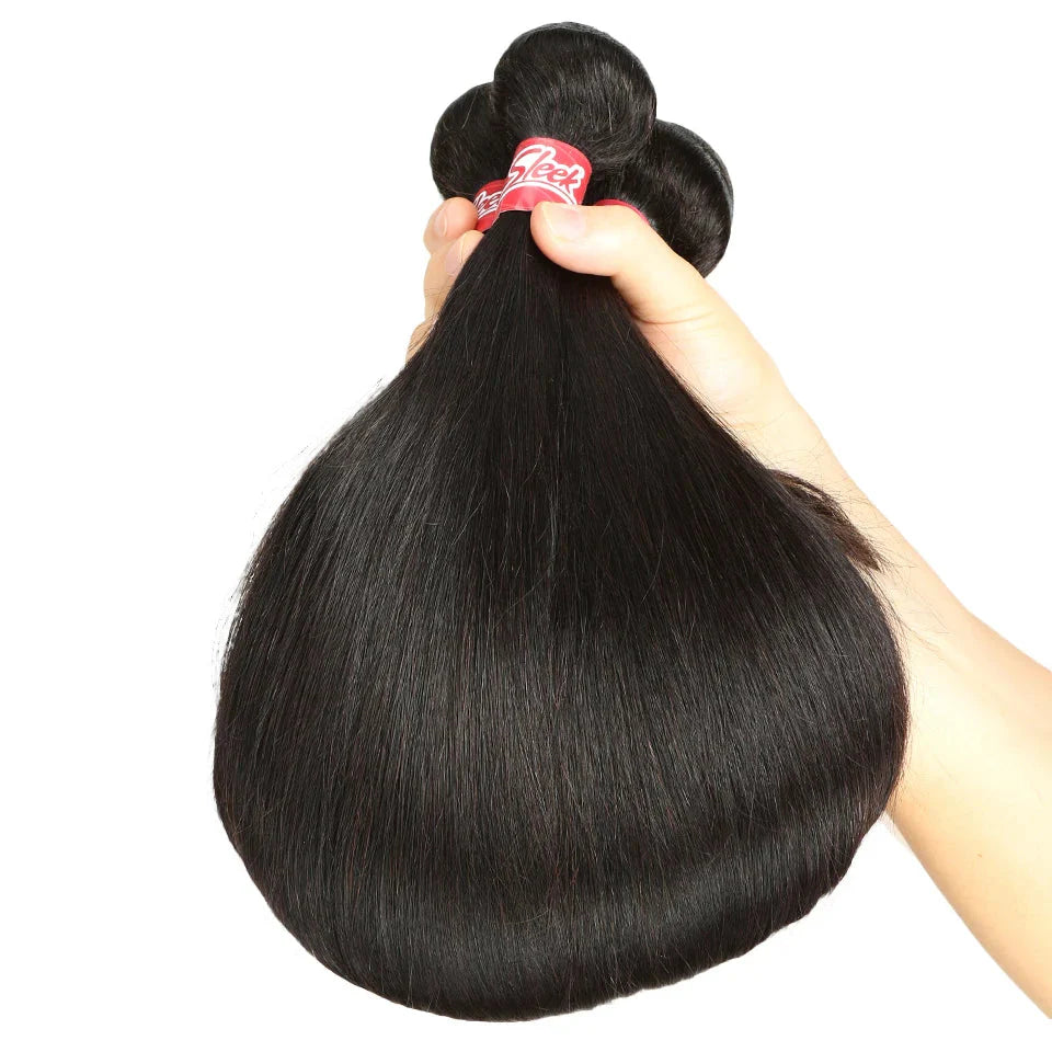 Brazilian Straight Human Hair Bundles with 2x4 Lace Closure | 3 Bundles & Closure Set by Luxegan