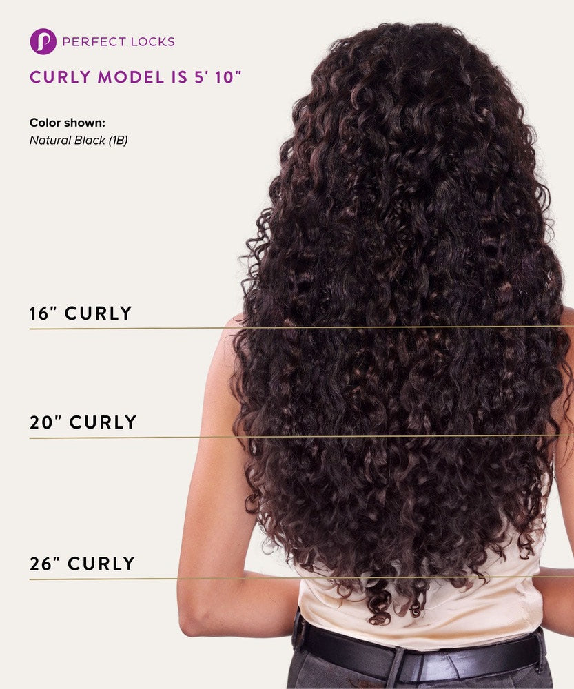 Curly Lace Front Wig by Perfect Locks