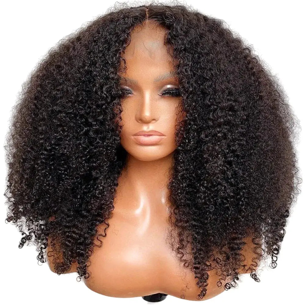 Mongolian | Kinky Curly | Human Hair | Lace Front | Lace Closure Wig by Luxegan