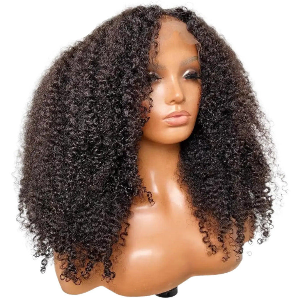 Mongolian | Kinky Curly | Human Hair | Lace Front | Lace Closure Wig by Luxegan