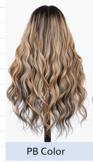 Ombre Frost Brown Wear and Go 24' Glueless Lace Front Wig Body Wave Brazilian Human Hair by Zernabella