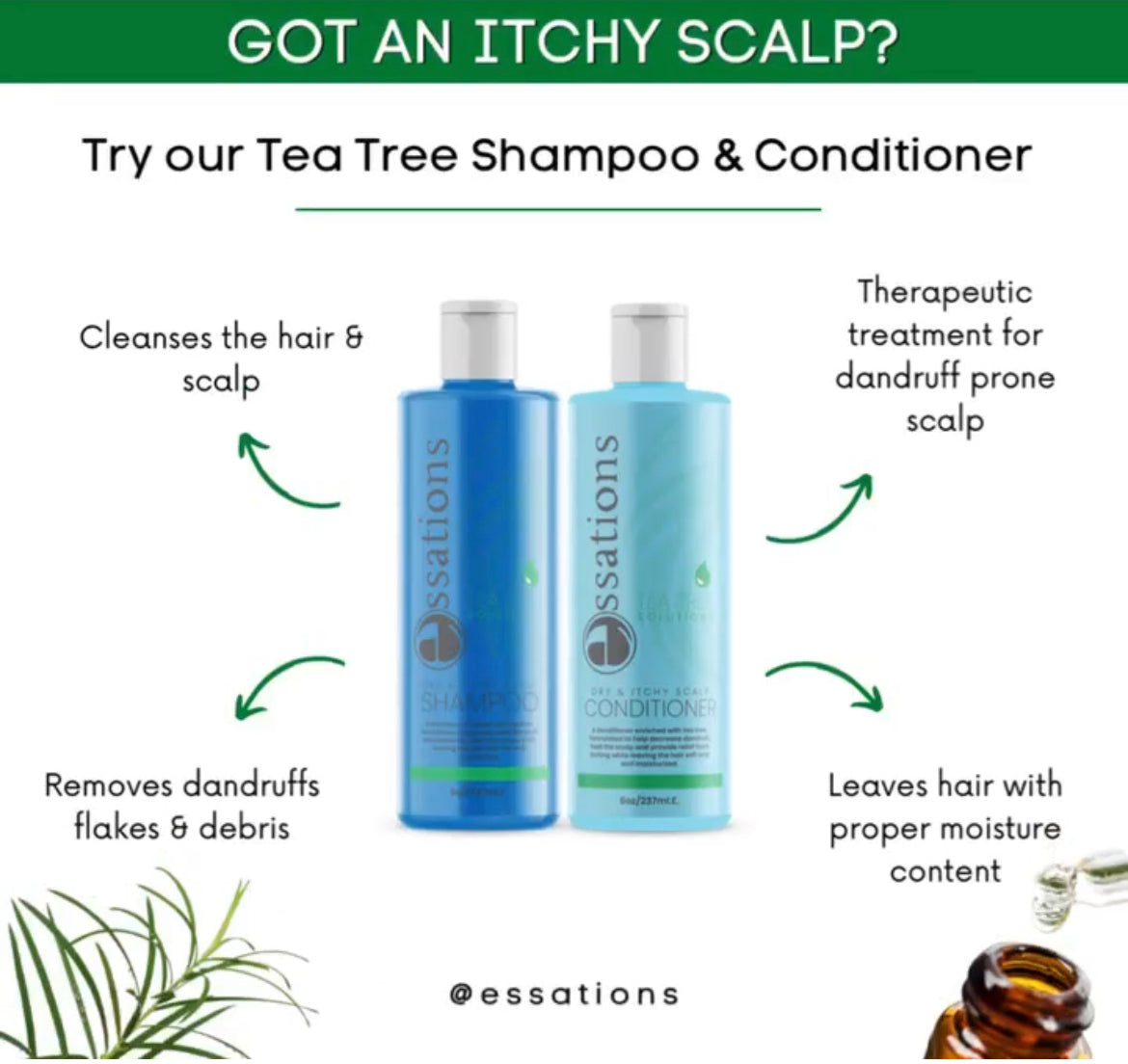 Tea Tree Solutions Dry & Itchy Scalp Shampoo by Essations by Essations