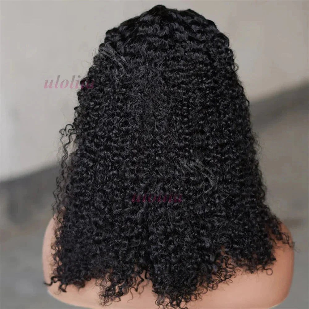 Kinky Curly Braided Bun Wig | 13x4 Lace Front | Human Hair | Remy | 210 Density by Luxegan