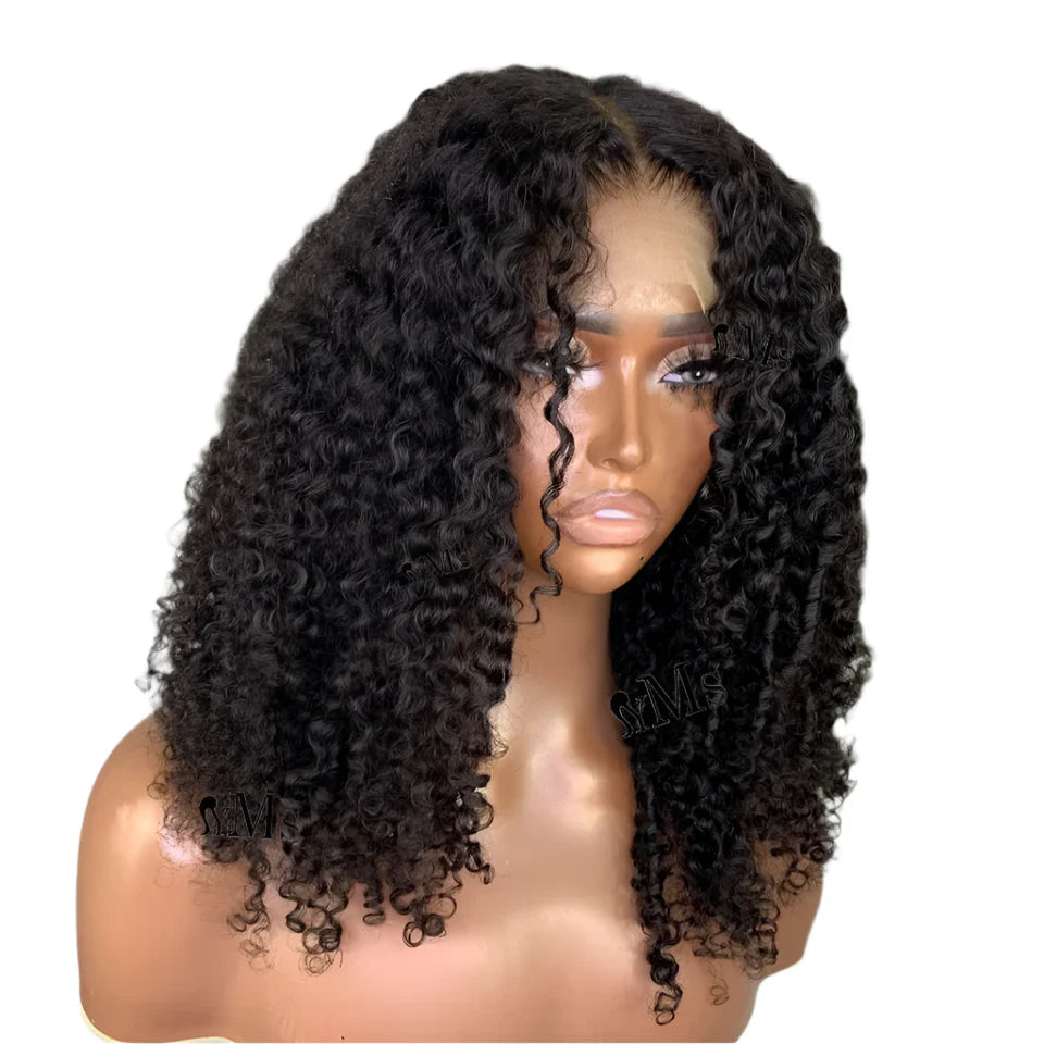 3C 4A Premium Virgin Burmese Curly Lace Frontal Wig | 250% Density by Luxegan