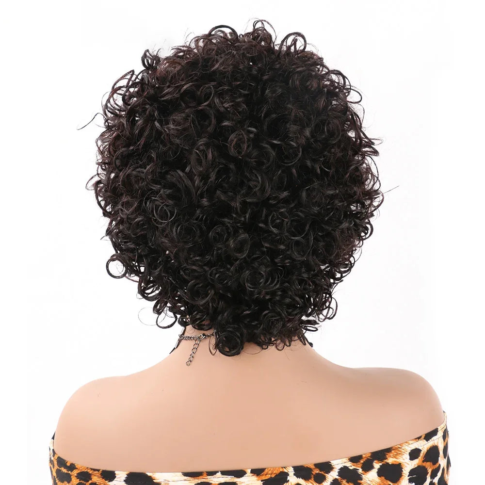 Short Curly Pixie Cut Wig | Water Wave Bob Wig | 13x1 Transparent Lace Front Human Hair Wig by Luxegan