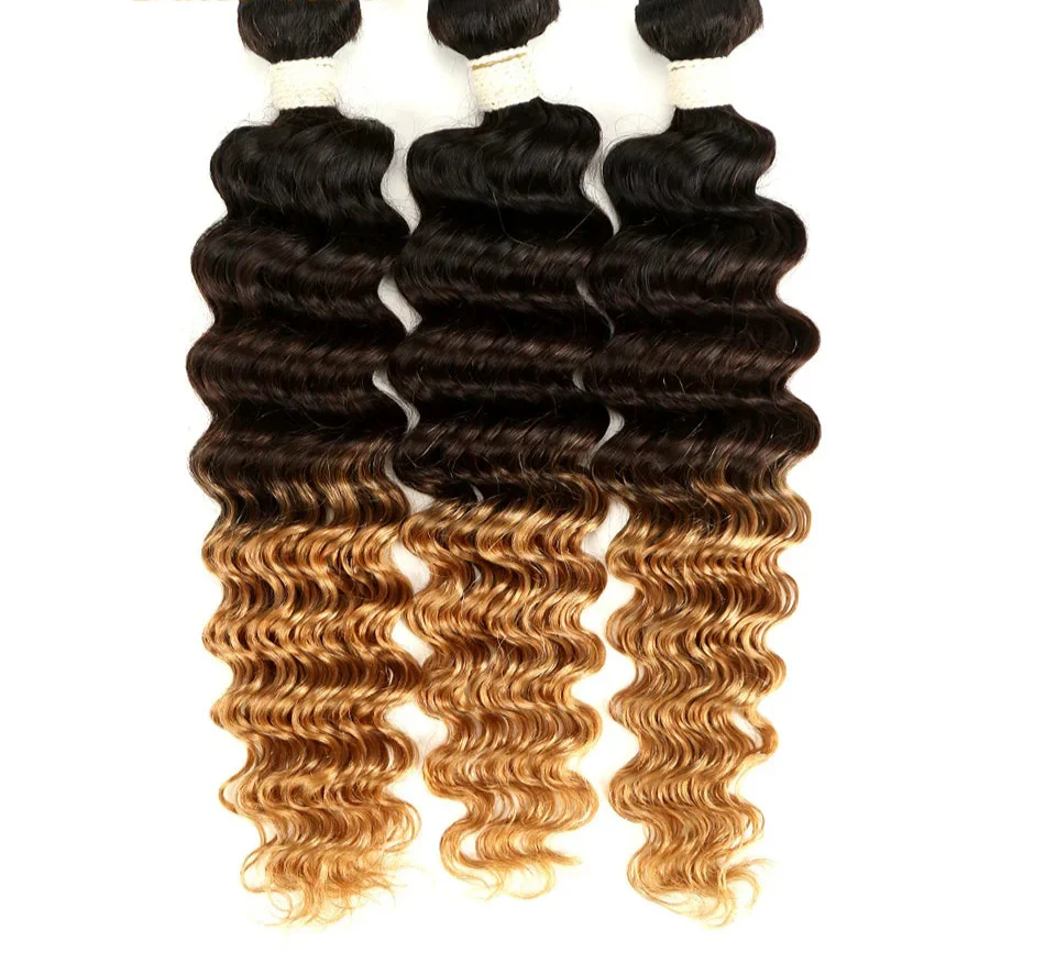 Ombre Brazilian Deep Wave Human Hair Bundles | Remy 2 Tone Color T1B/27#, T1B/30#, T1B/99J# (1, 3, or 4 Pcs) by Luxegan