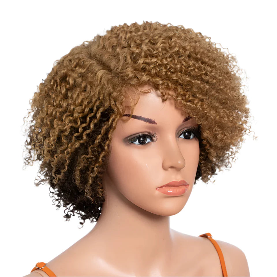 Ombre Honey 4/27 Afro Kinky Curly Bob Wig | Short Human Hair Lace Wig with Baby Hair by Luxegan