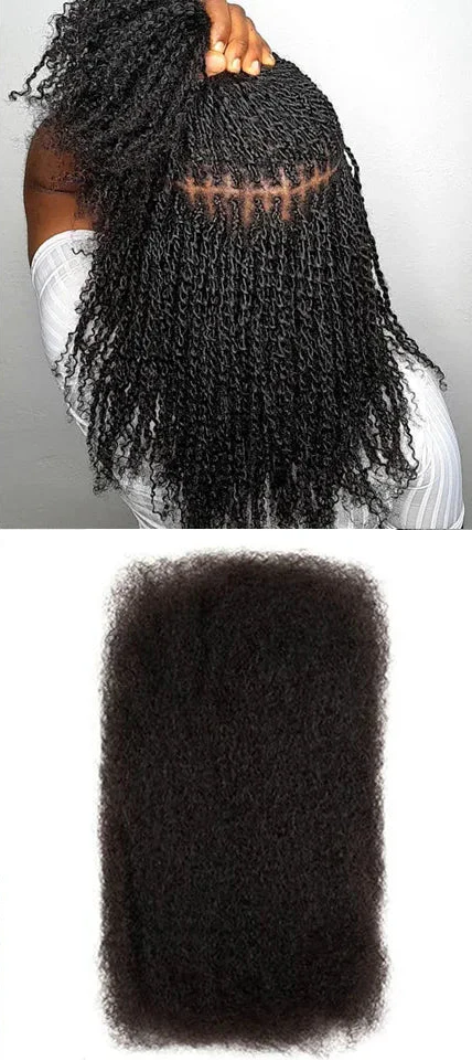 Rebecca Afro Kinky Bulk Human Hair for Braiding | Remy Virgin Brazilian Extensions (Multi-Color) by Luxegan