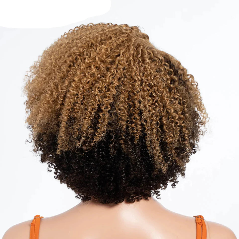 Ombre Honey 4/27 Afro Kinky Curly Bob Wig | Short Human Hair Lace Wig with Baby Hair by Luxegan