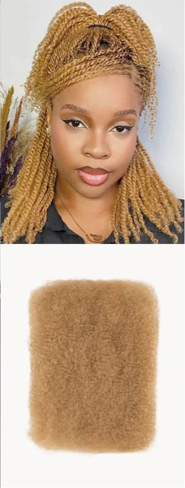 Rebecca Afro Kinky Bulk Human Hair for Braiding | Remy Virgin Brazilian Extensions (Multi-Color) by Luxegan