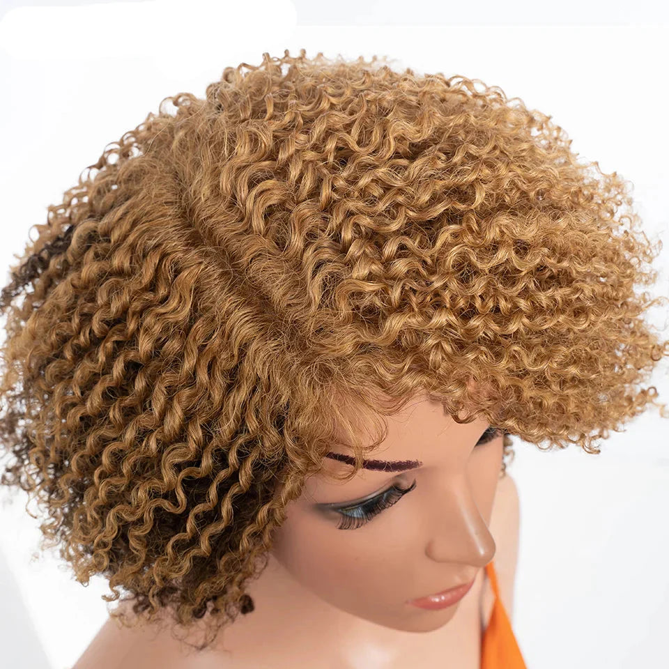 Ombre Honey 4/27 Afro Kinky Curly Bob Wig | Short Human Hair Lace Wig with Baby Hair by Luxegan