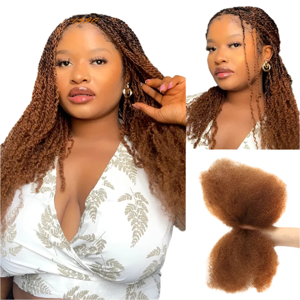 Rebecca Afro Kinky Bulk Human Hair for Braiding | Remy Virgin Brazilian Extensions (Multi-Color) by Luxegan