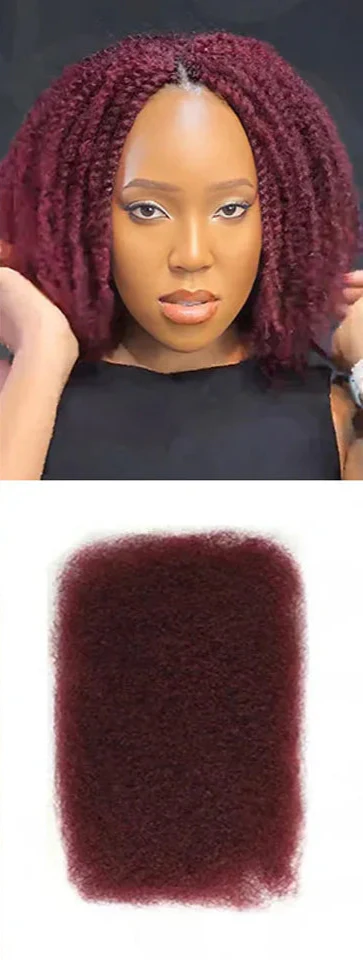 Rebecca Afro Kinky Bulk Human Hair for Braiding | Remy Virgin Brazilian Extensions (Multi-Color) by Luxegan