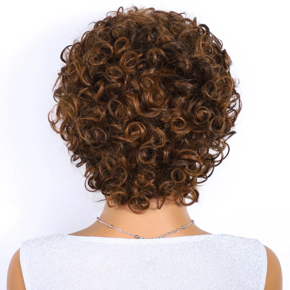 Sleek 100% Real Ready To Wear Short Water Wave Pixie Cut Wigs Brown Colored Curly Brazilian Curly Human Hair Wigs For Women by Luxegan