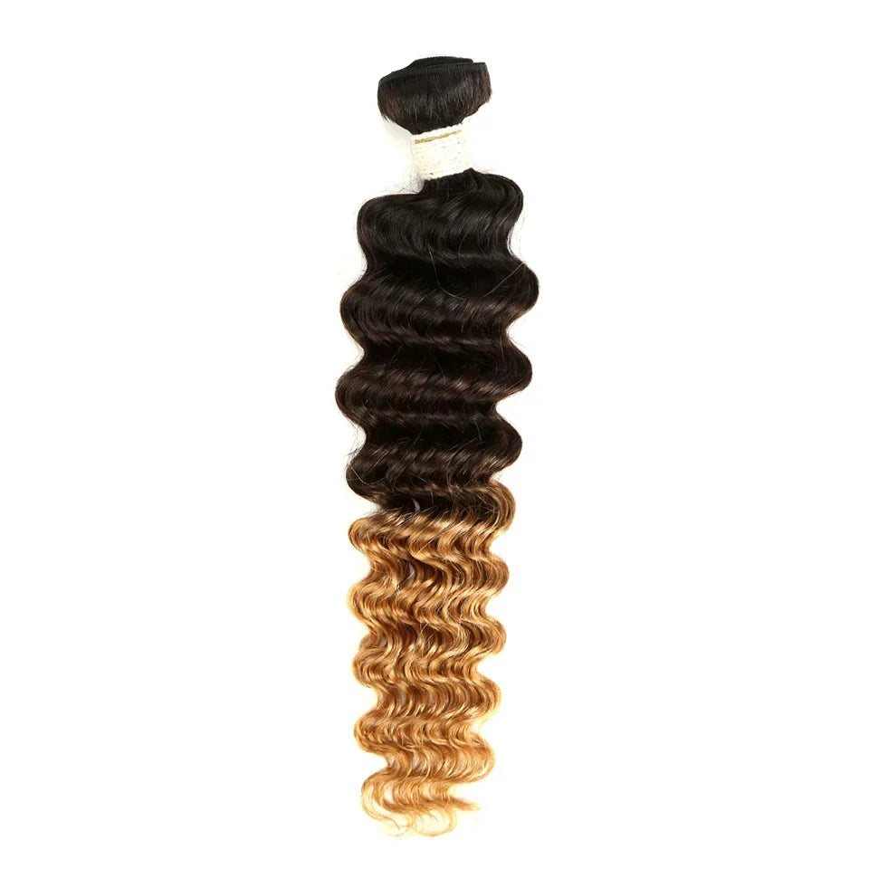 Ombre Brazilian Deep Wave Human Hair Bundles | Remy 2 Tone Color T1B/27#, T1B/30#, T1B/99J# (1, 3, or 4 Pcs) by Luxegan