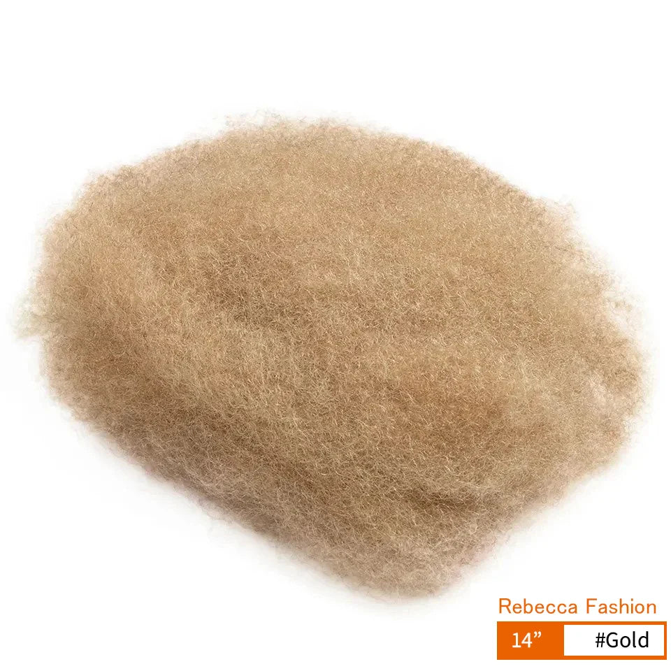 Rebecca Afro Kinky Bulk Human Hair for Braiding | Remy Virgin Brazilian Extensions (Multi-Color) by Luxegan