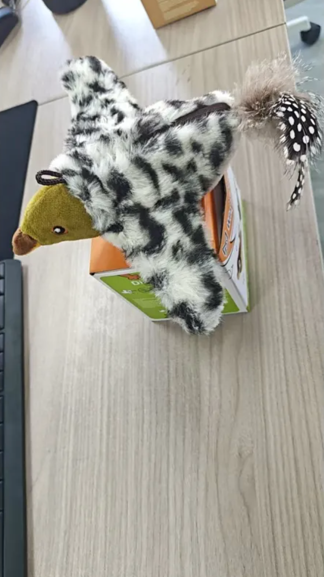 Plush Bird Pet Toy by Ovriluxe Enterprises llc